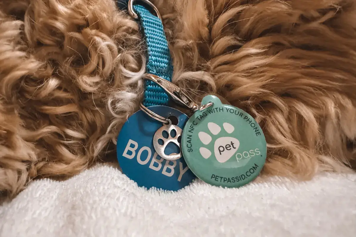 Pet Pass ID tag next to a name tag on a dog's collar