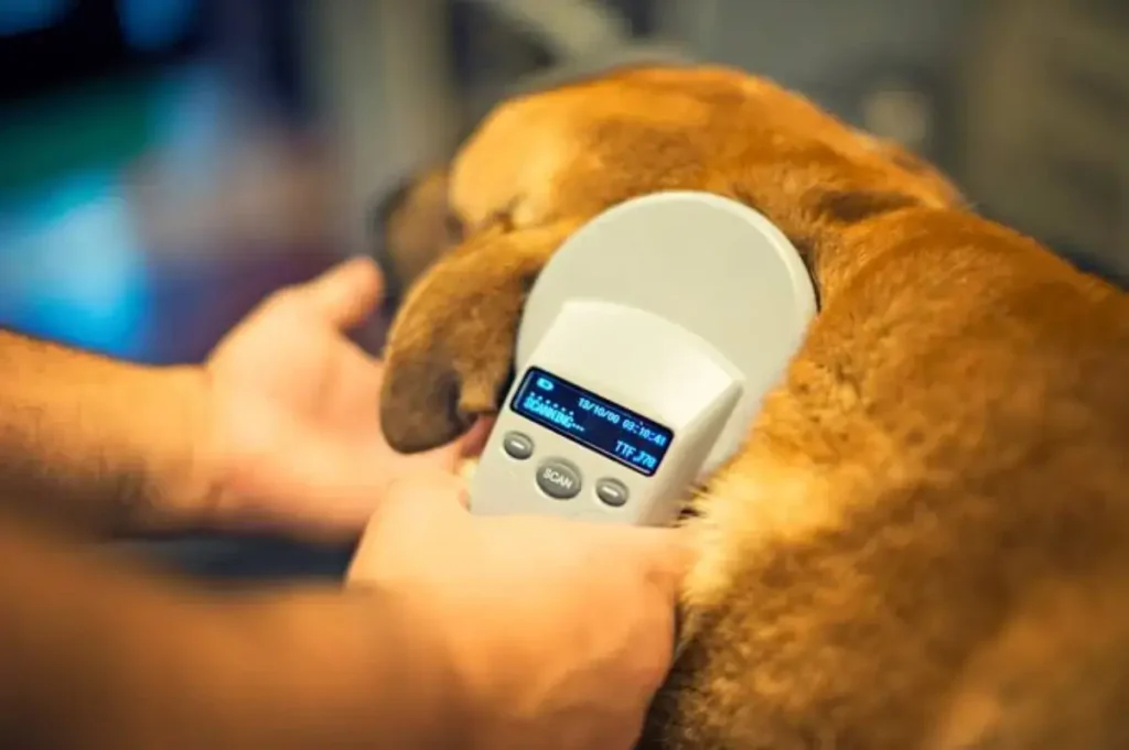 vet microchip reader scan